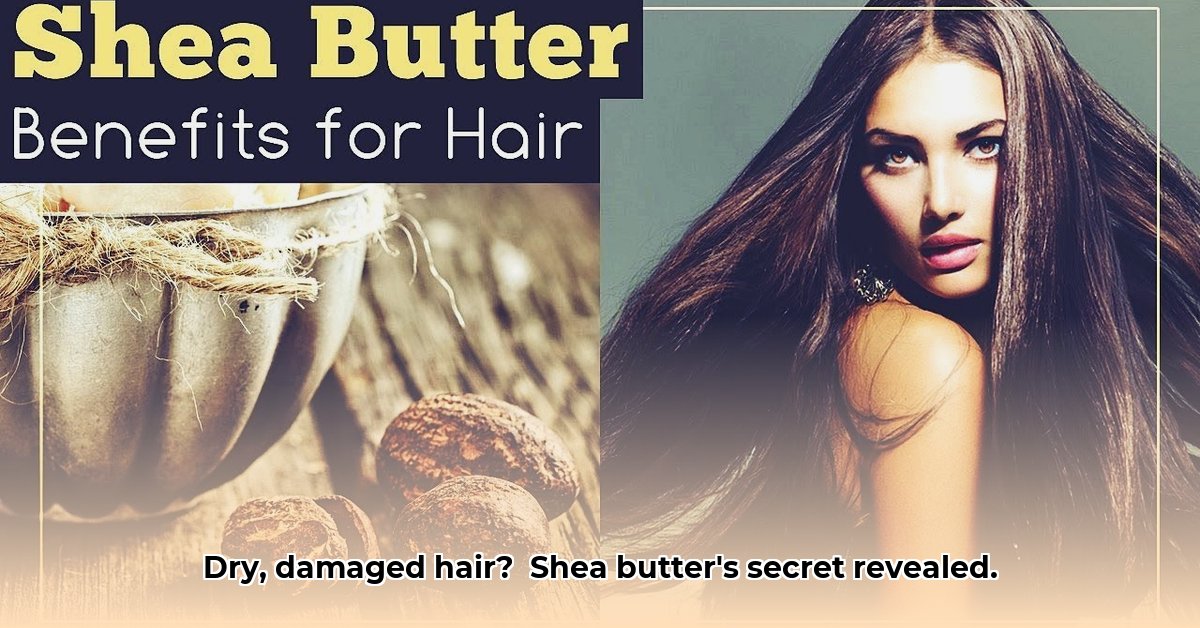 benefits-of-shea-butter-on-hair